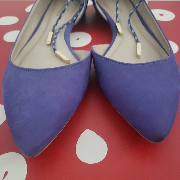 Guilhermina Suede Ankle-Tie Flats 9M - Picture 9 of 12